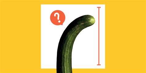 dick cock|Penis: 20 Different Types, Shapes, and Things to Know